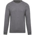 Kids' Organic Raglan Sleeve Sweatshirt - K490