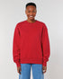 Unisex Organic Relaxed Crew Neck Sweatshirt | Radder STSU857